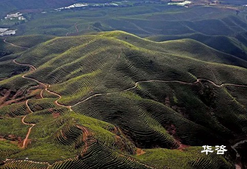 快訊！湖南永州藍山公路項目水土保持方案（水保）順利通過專家評議