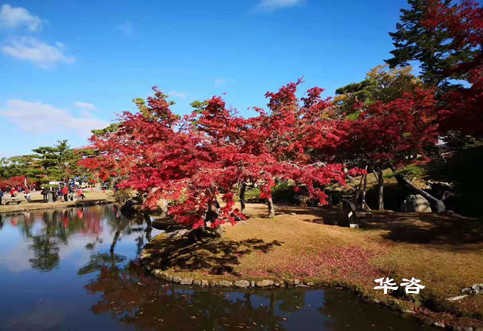 華咨公司交通工程師團隊赴江西南昌就藥材小鎮建設項目開展交通量現狀調研